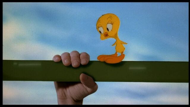 File:Tweety.jpg