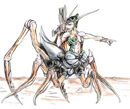 Ants