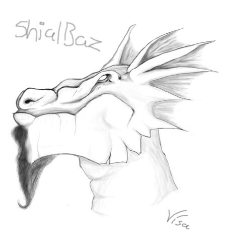 File:ShialBaz by SireniSireni.jpeg