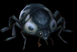 Beetle