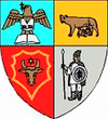 Actual Bistrita-Nasaud county CoA.png