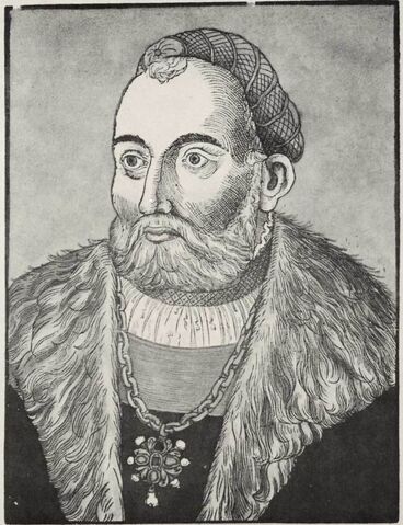 Fișier:Szapolyai János fametszet.jpg