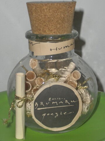 File:Emilbrumaru poeziilaborcan.jpg