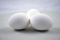 Eggs