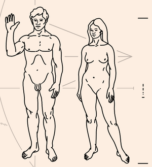 Pioneer Plaque