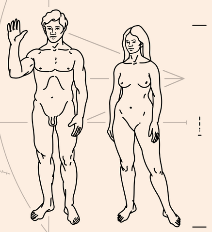 File:Pioneer Plaque.png