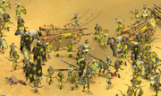 Escorts
