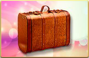 Businesscase