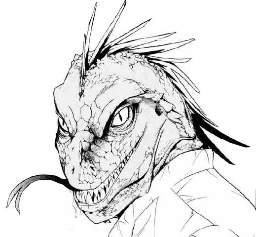 File:Lizard.jpg