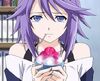 43594045 mizore