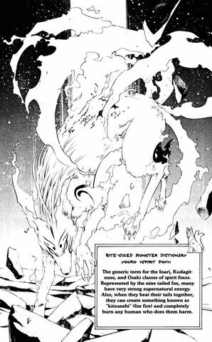 File:Youko.jpg