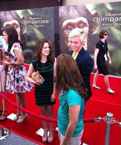 File:Chimpanzee19.jpg
