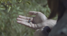 Arcpellet2