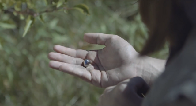 File:Arcpellet2.png