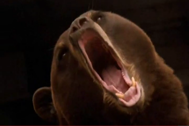 File:Bear4.png