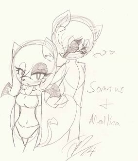 Somnus X Medlina