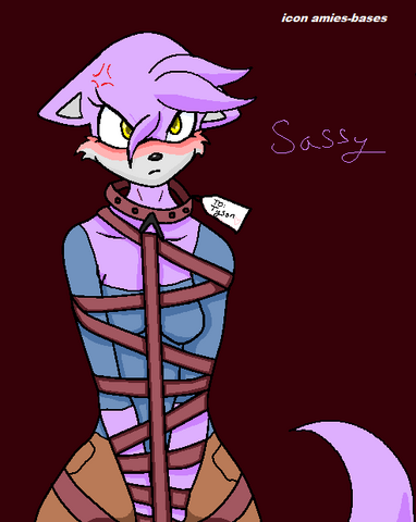 File:Sassy's is caputer.png