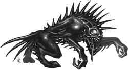 Murgul.png