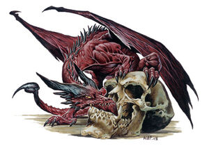 Pseudodragon.jpg