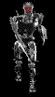 Dt1