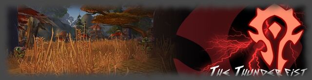 File:TheThunderfistWarband Banner.jpg