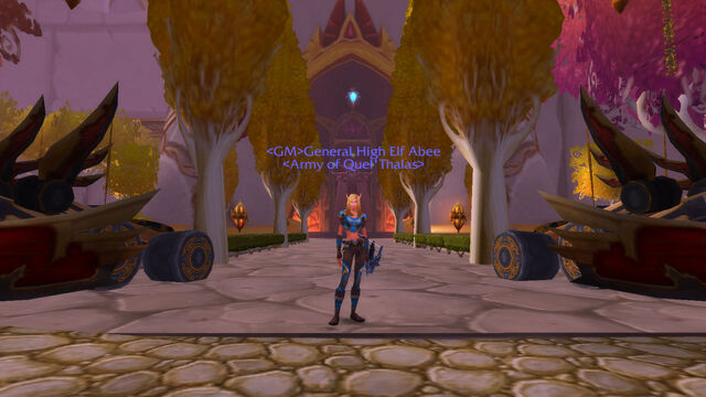 File:WoWScrnShot 122911 221418.jpg