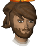 File:Exampler.png