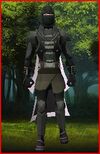 Enclave Commando