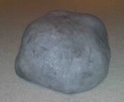 Pet rock