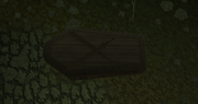 Coffin