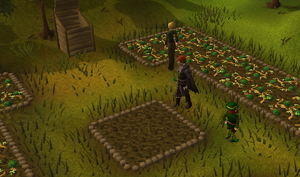 James farming2