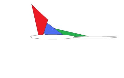 Raptor diagram