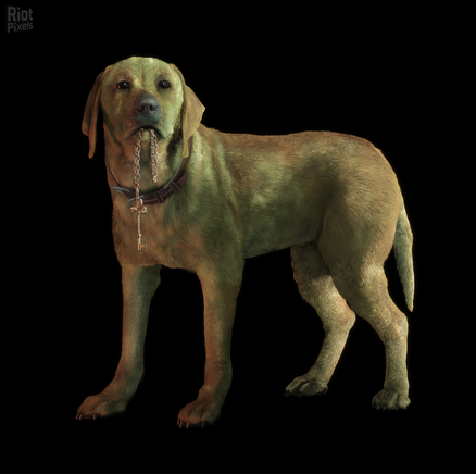 File:Brown.png
