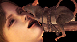 JenniferRat