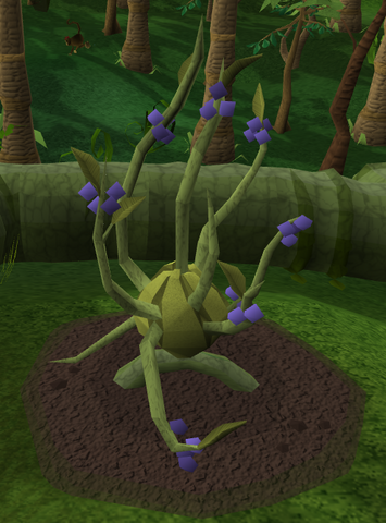 File:Lergberry7.png
