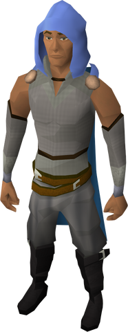 File:Saradomin team hood equipped.png