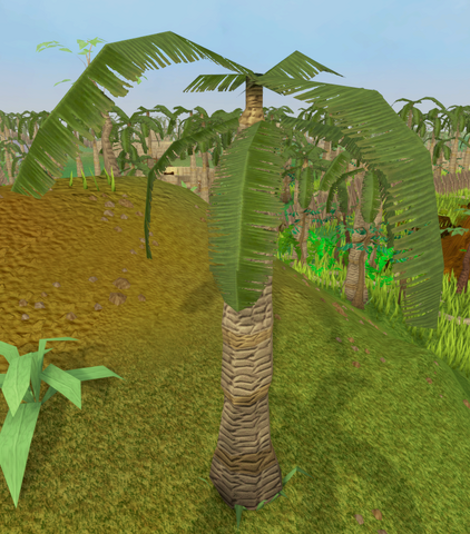 File:Leafy palm tree.png