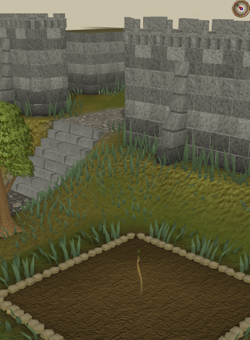 File:Yew1.png