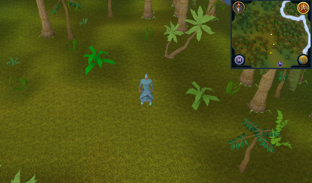 File:Compass clue Karamja north of gleaming wisp colony.png