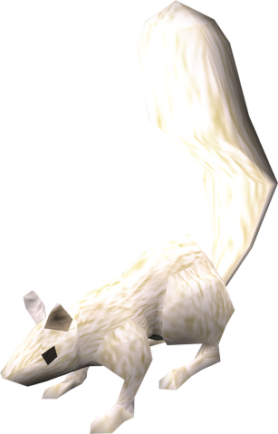 File:Squirrel (white) pet.png