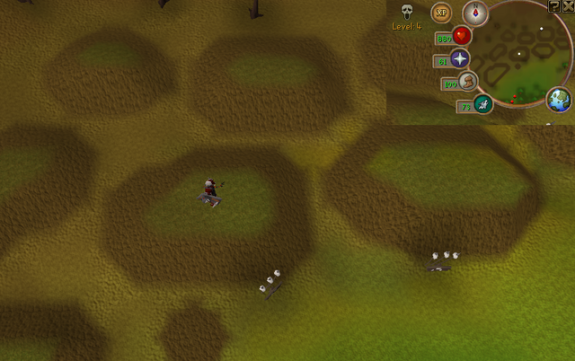 File:Compass clue Wilderness north of mind altar.png