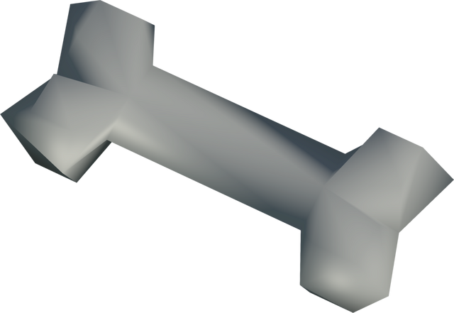 File:Polished jackal bone detail.png