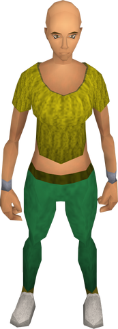 File:Retro pale pantobles.png