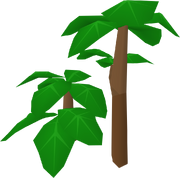 Doogle bush