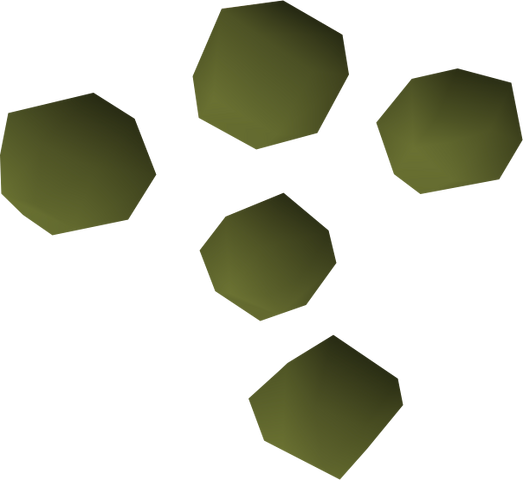 File:Rosemary seed detail.png