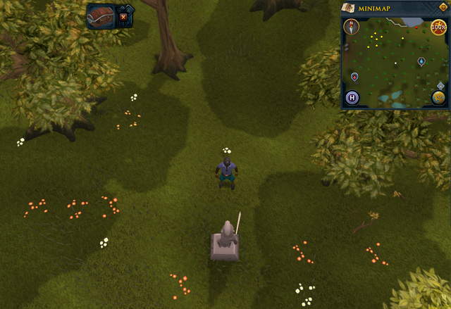 File:Compass clue Tree Gnome Stronghold north-west of charm spirites.png
