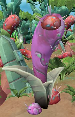 File:Pahtli plant.png