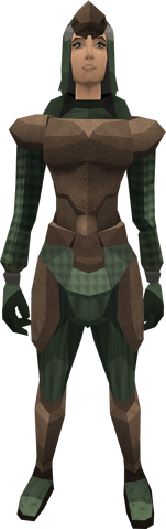 File:Paraleather armour (female) equipped.png