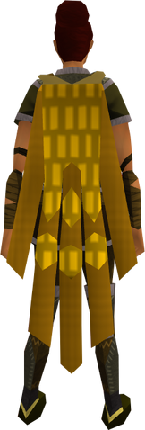File:Team-20 cape equipped.png