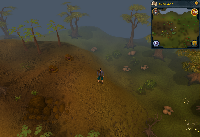 File:Compass clue Gu'Tanoth east of iron ores.png